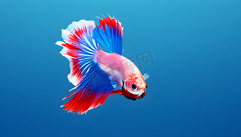 壹号娱乐|壹号(yihao)娱乐官网 - YI HAO YU LE